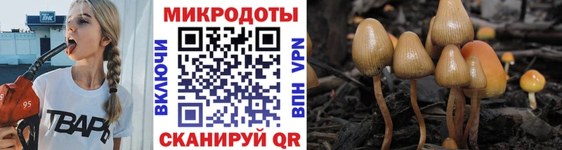 Галлюциногенные грибы мицелий  Кондрово 